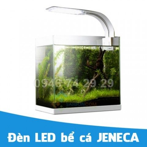 Đèn LED bể cá JENECA