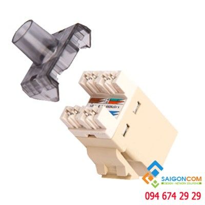 Nhân mạng AMP - RJ45 Không cần dùng Tool nhấn mạng  Chính hãng