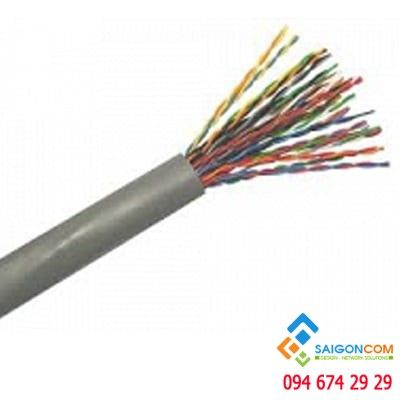 Cáp tín hiệu Alantek Cat5E UTP trong nhà (indoor  - Cable 24AWG, 25-pair - 301-10025E-05GY