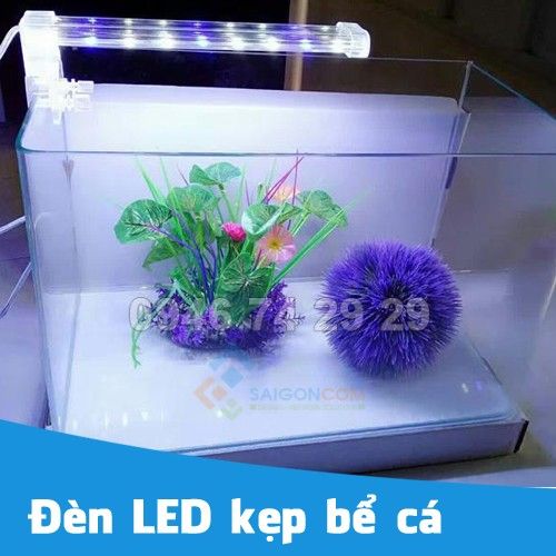 Đèn LED bể cá cảnh mini