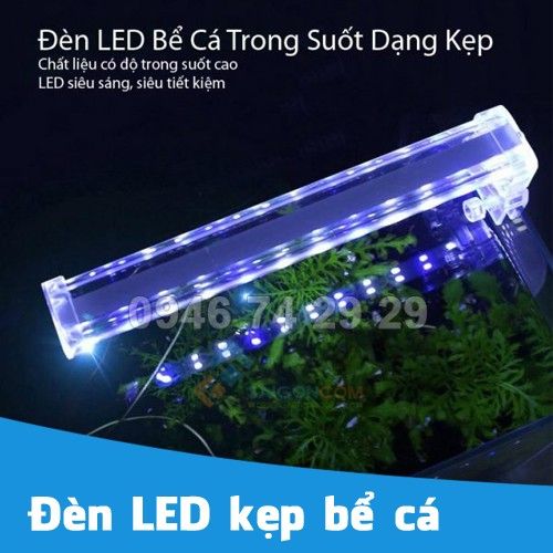 Đèn LED kẹp bể cá, hồ cá cảnh mini