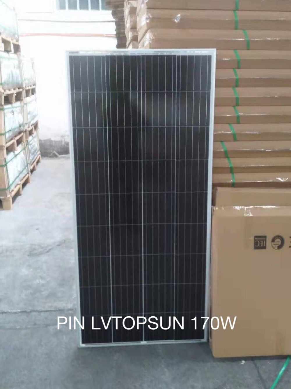 Tấm pin năng lượng mặt trời Mono 170W LVTOPSUN